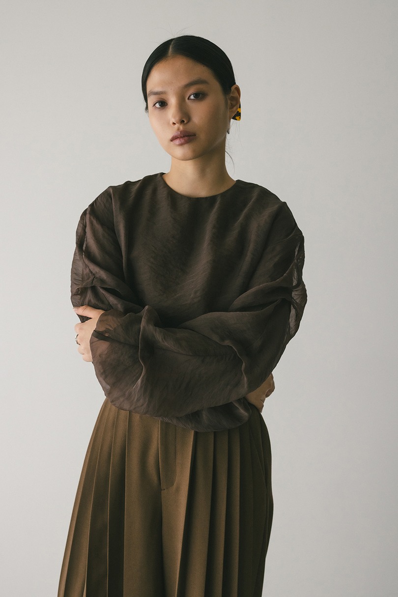 シアーレイヤードトップ 詳細画像 BRN 4