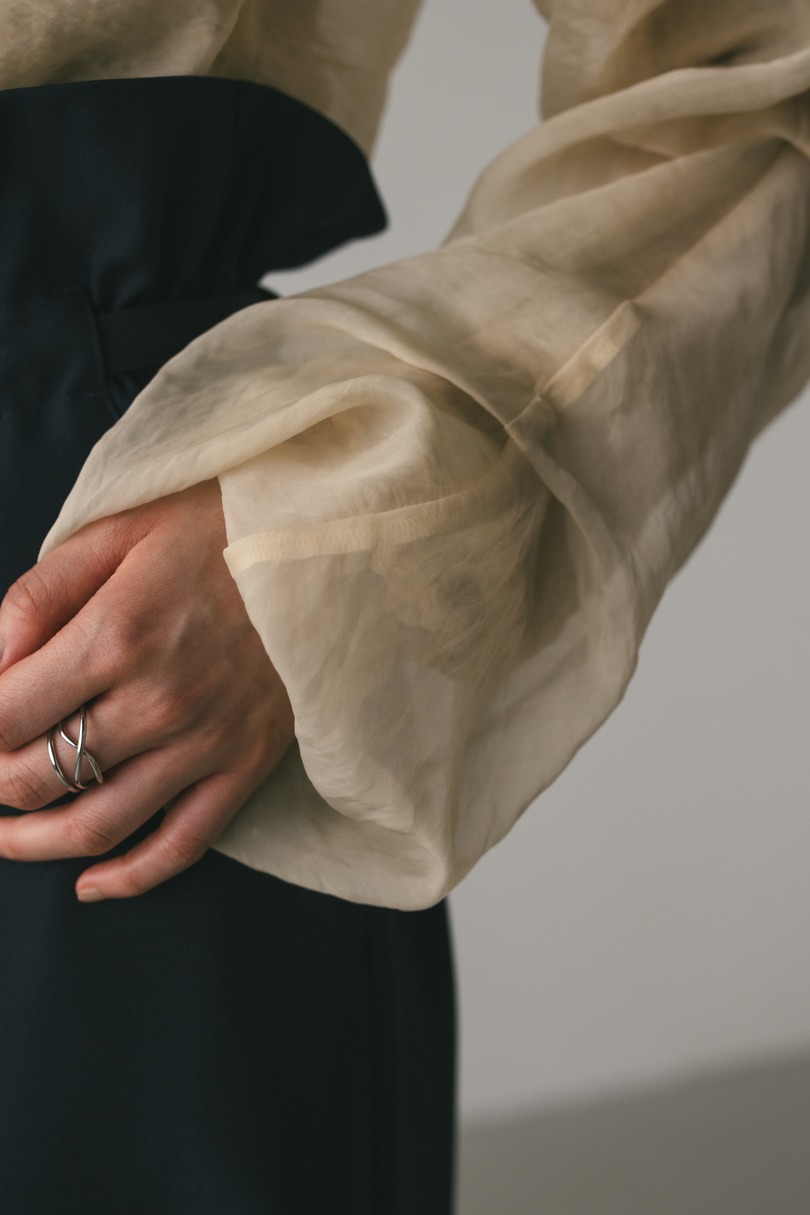 シアーレイヤードトップ 詳細画像 BEG 7