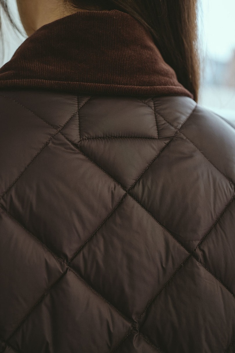 【別注】TAIONダウンジャケット 詳細画像 BRN 10