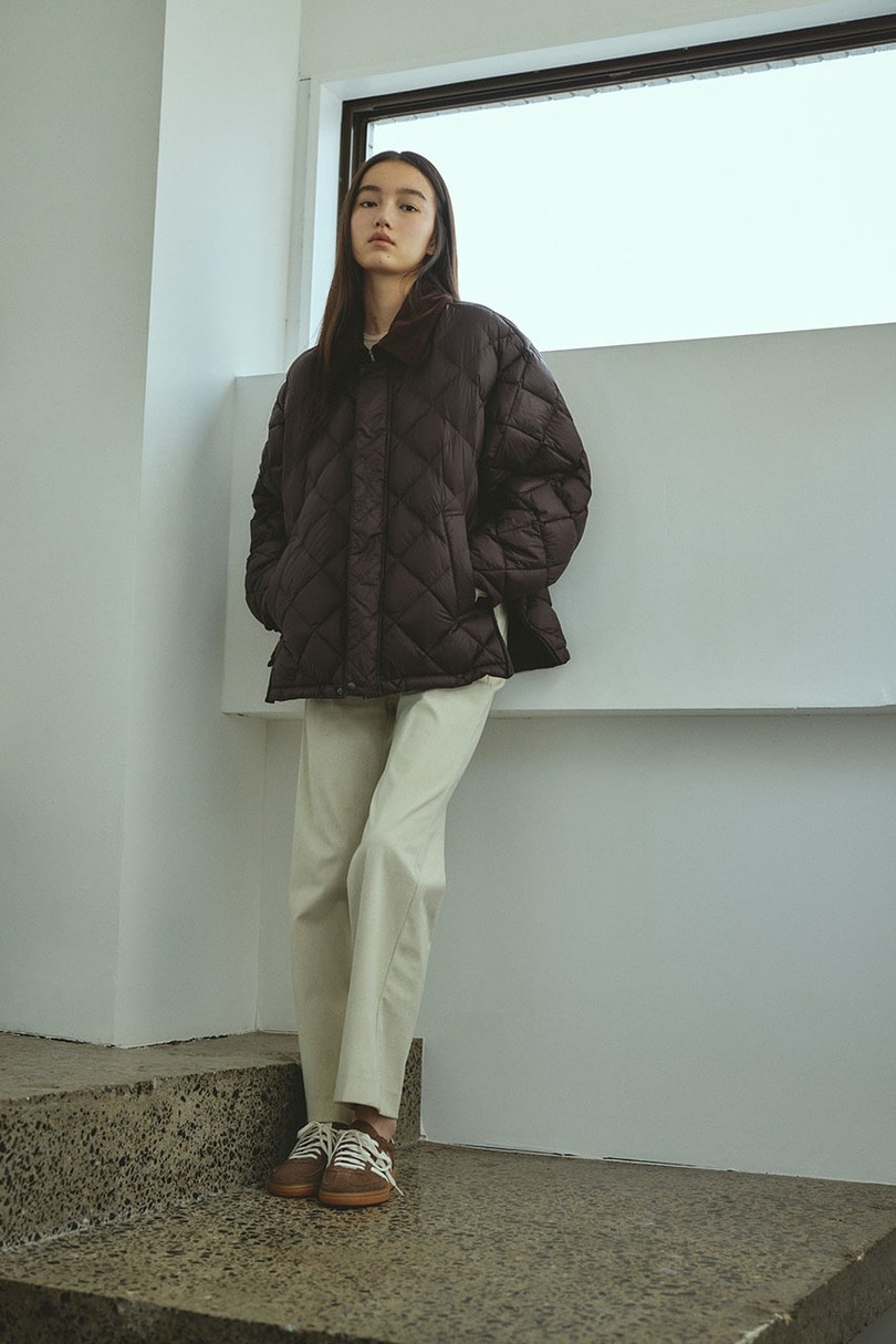 【別注】TAIONダウンジャケット 詳細画像 BRN 3