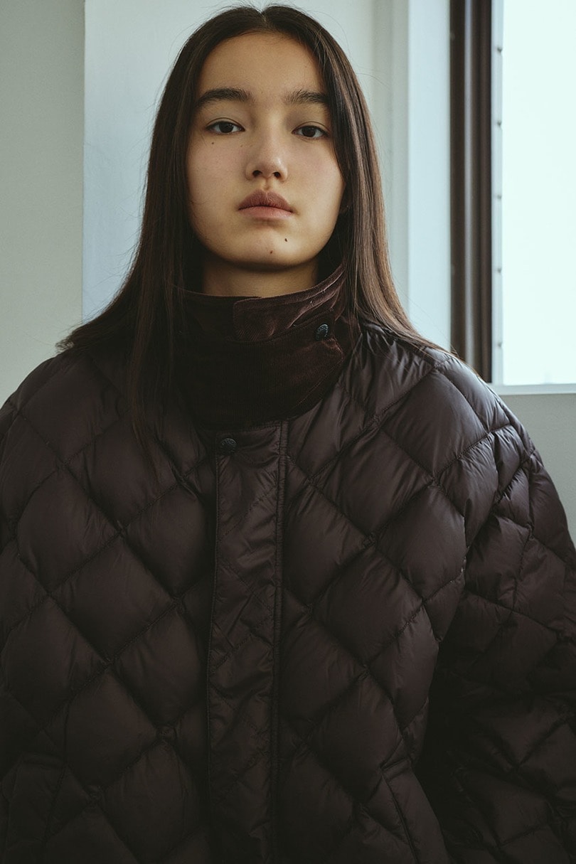 【別注】TAIONダウンジャケット 詳細画像 BRN 4