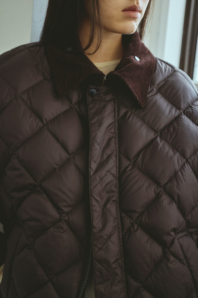 【別注】TAIONダウンジャケット 詳細画像 BRN 6