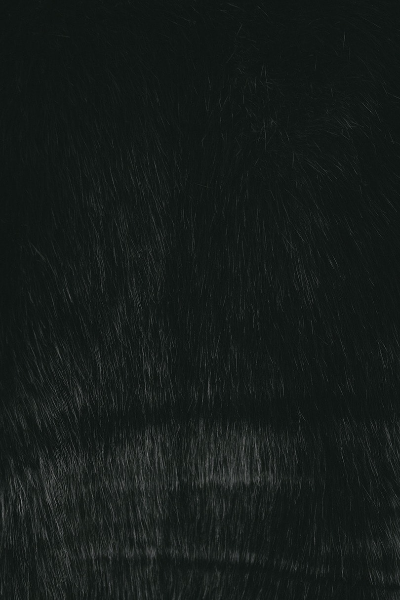 ノーカラーファージャケット 詳細画像 BLK 10