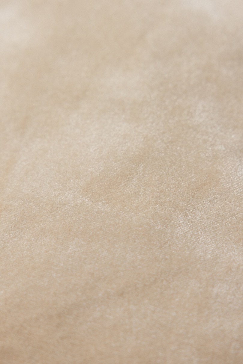 ベロアマルシェバッグ 詳細画像 IVOY 10