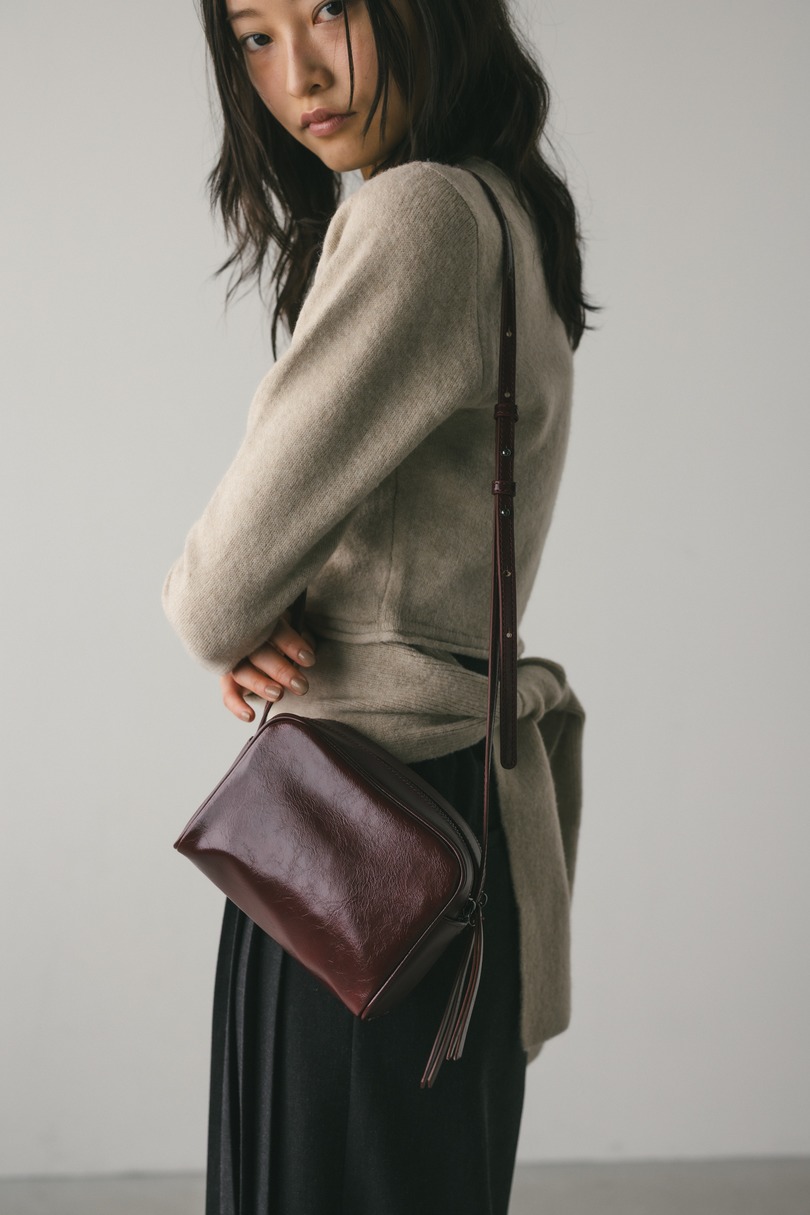 ダブルジップミニショルダーバッグ 詳細画像 BRD 2