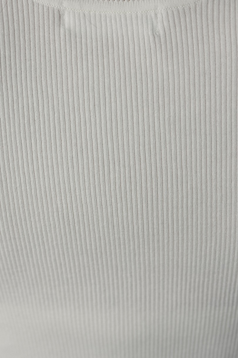 ハイゲージニットT 詳細画像 WHT 11