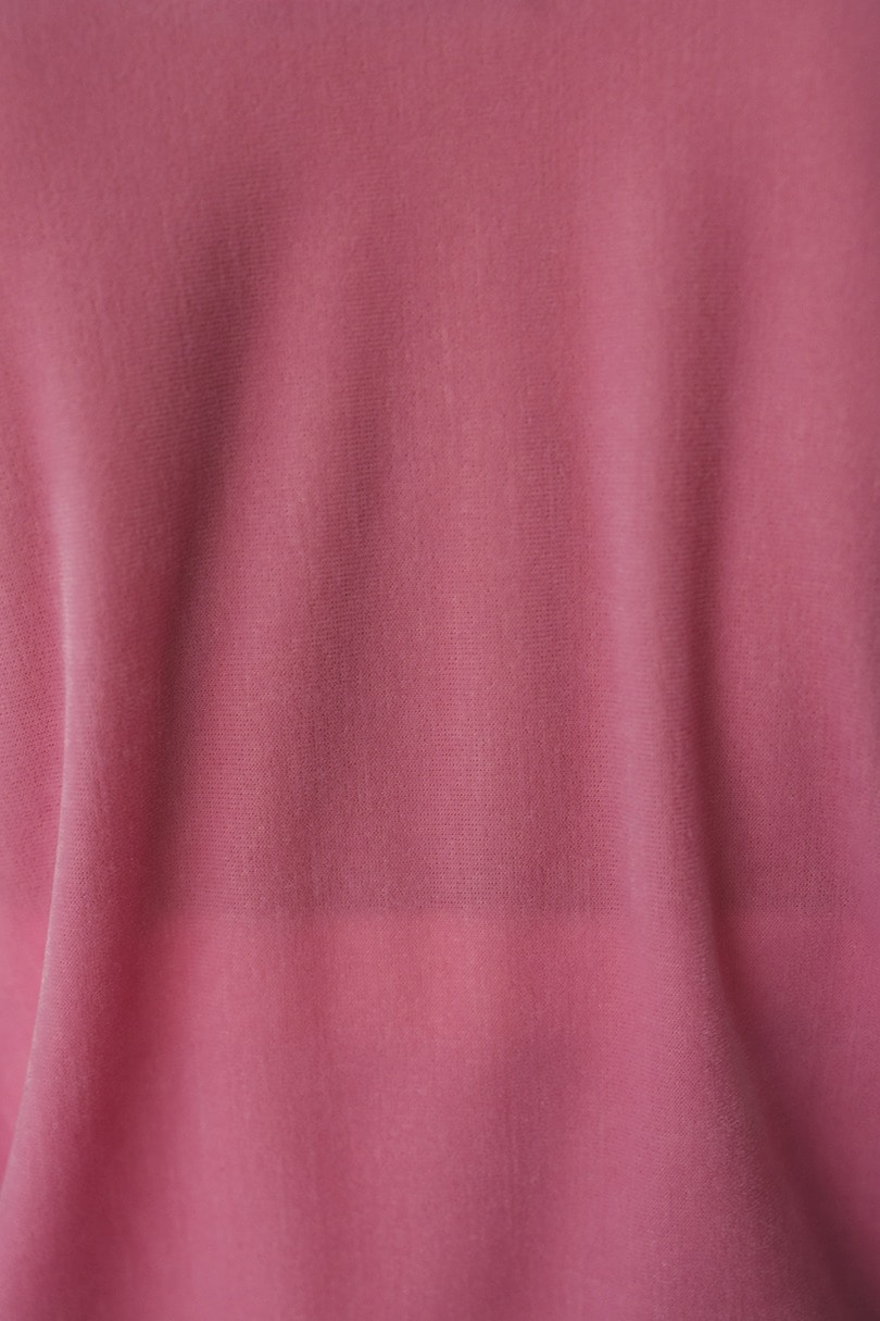 メッシュベロアロンT 詳細画像 PNK 10