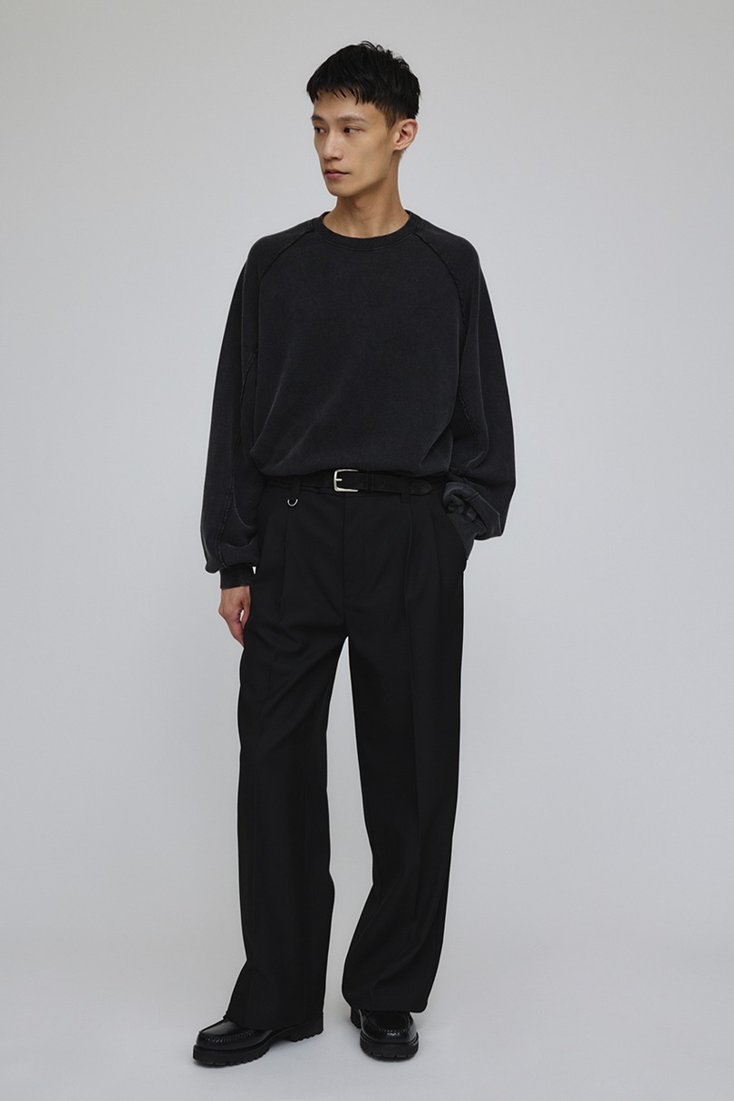 ピグメントダイクルースウェット 詳細画像 BLK 2