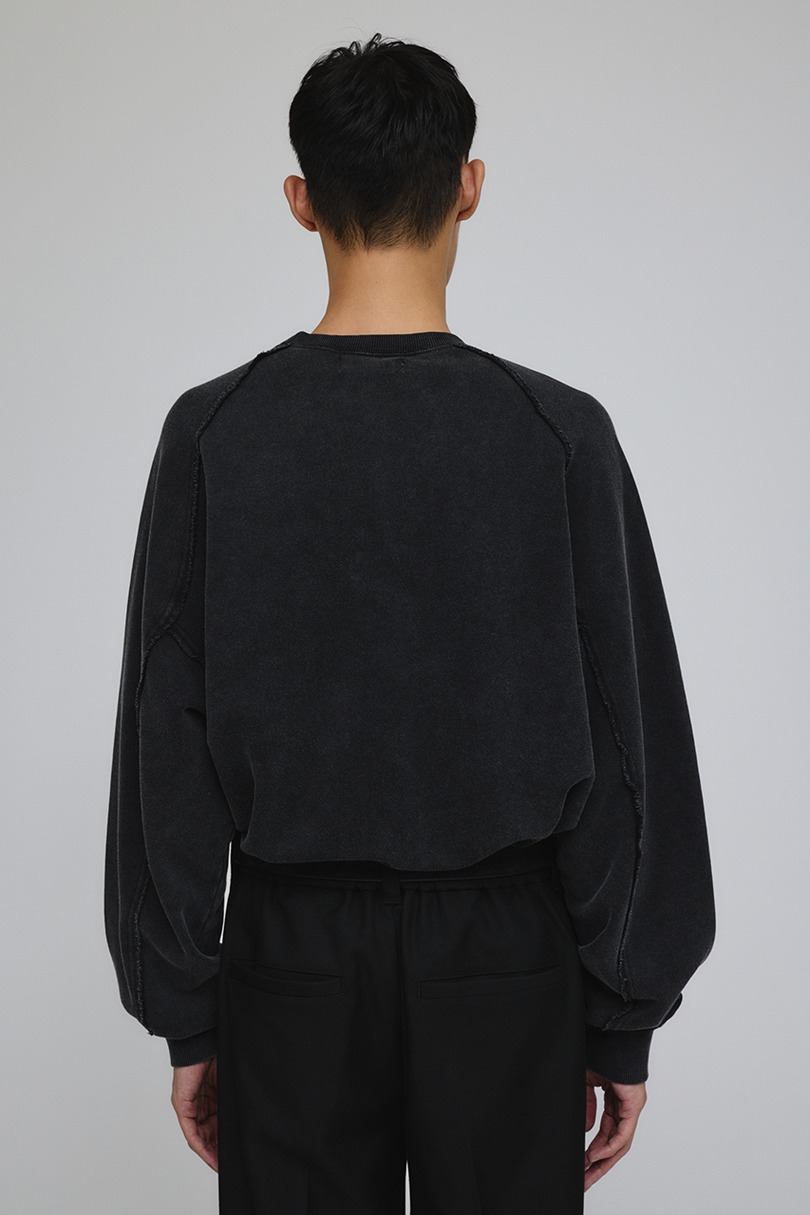 ピグメントダイクルースウェット 詳細画像 BLK 7