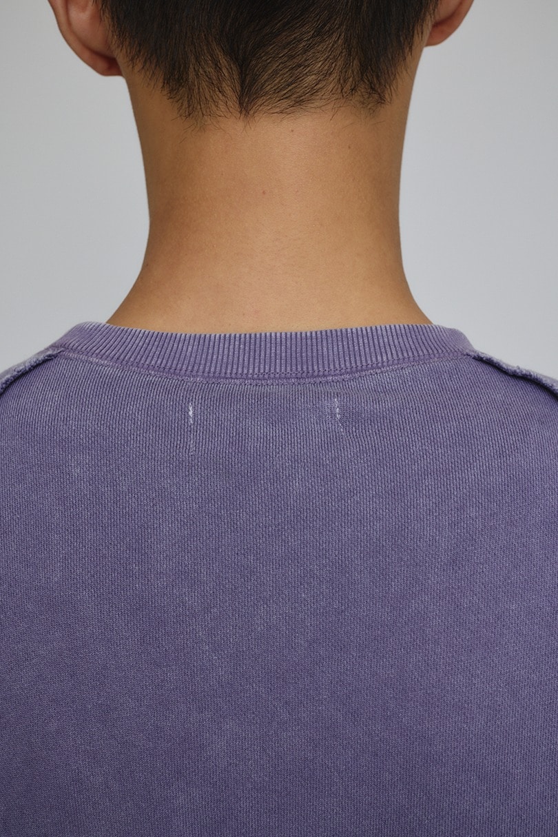 ピグメントダイクルースウェット 詳細画像 PUR 10