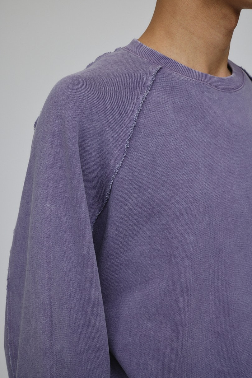 ピグメントダイクルースウェット 詳細画像 PUR 11