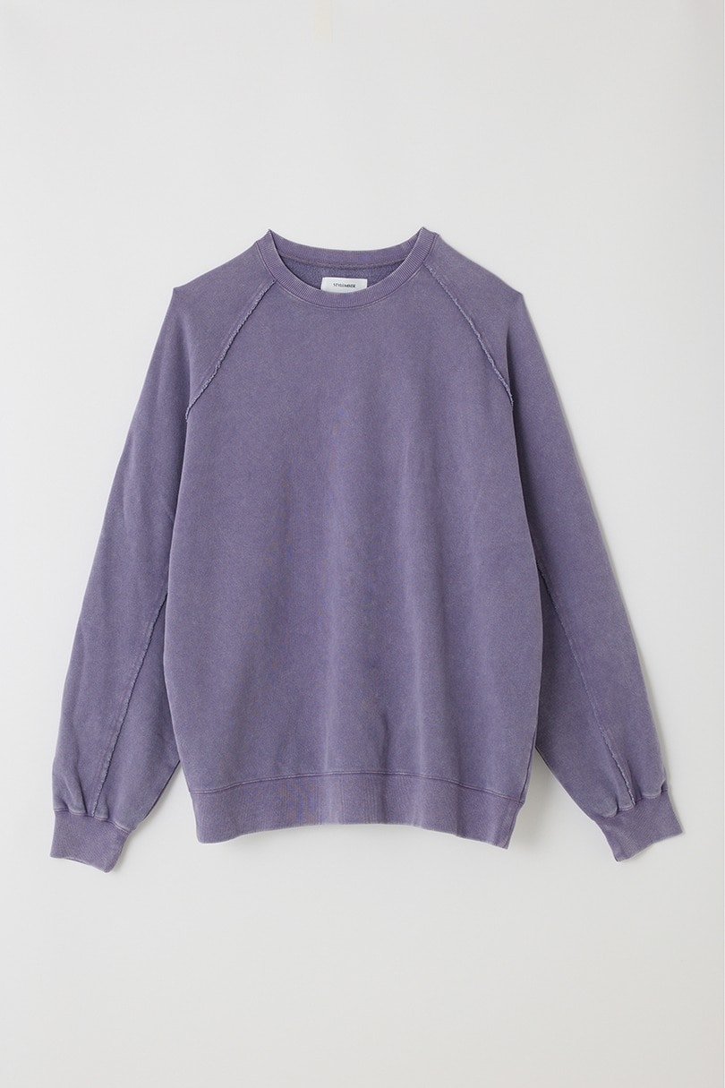 ピグメントダイクルースウェット 詳細画像 PUR 12