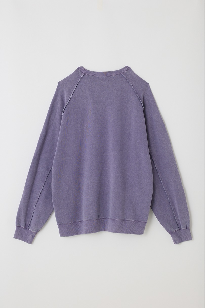 ピグメントダイクルースウェット 詳細画像 PUR 13