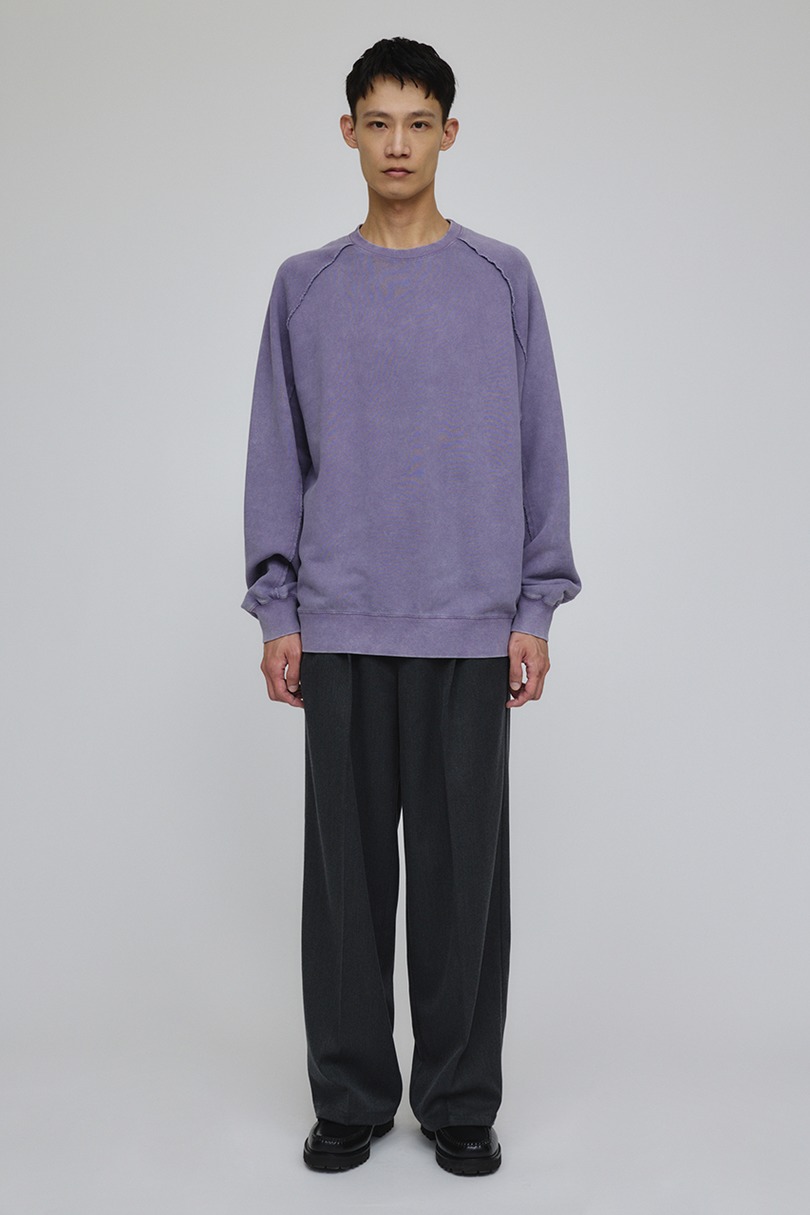 ピグメントダイクルースウェット 詳細画像 PUR 2