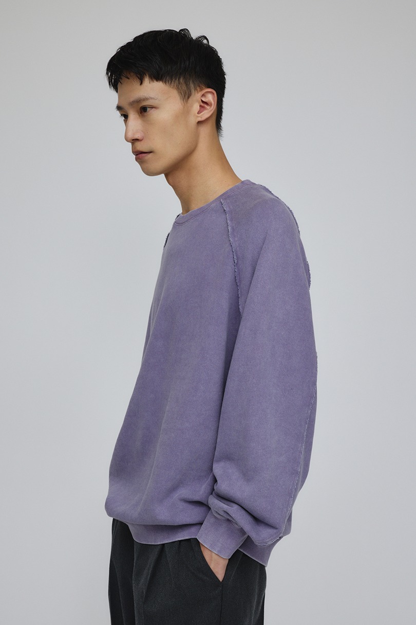 ピグメントダイクルースウェット 詳細画像 PUR 3