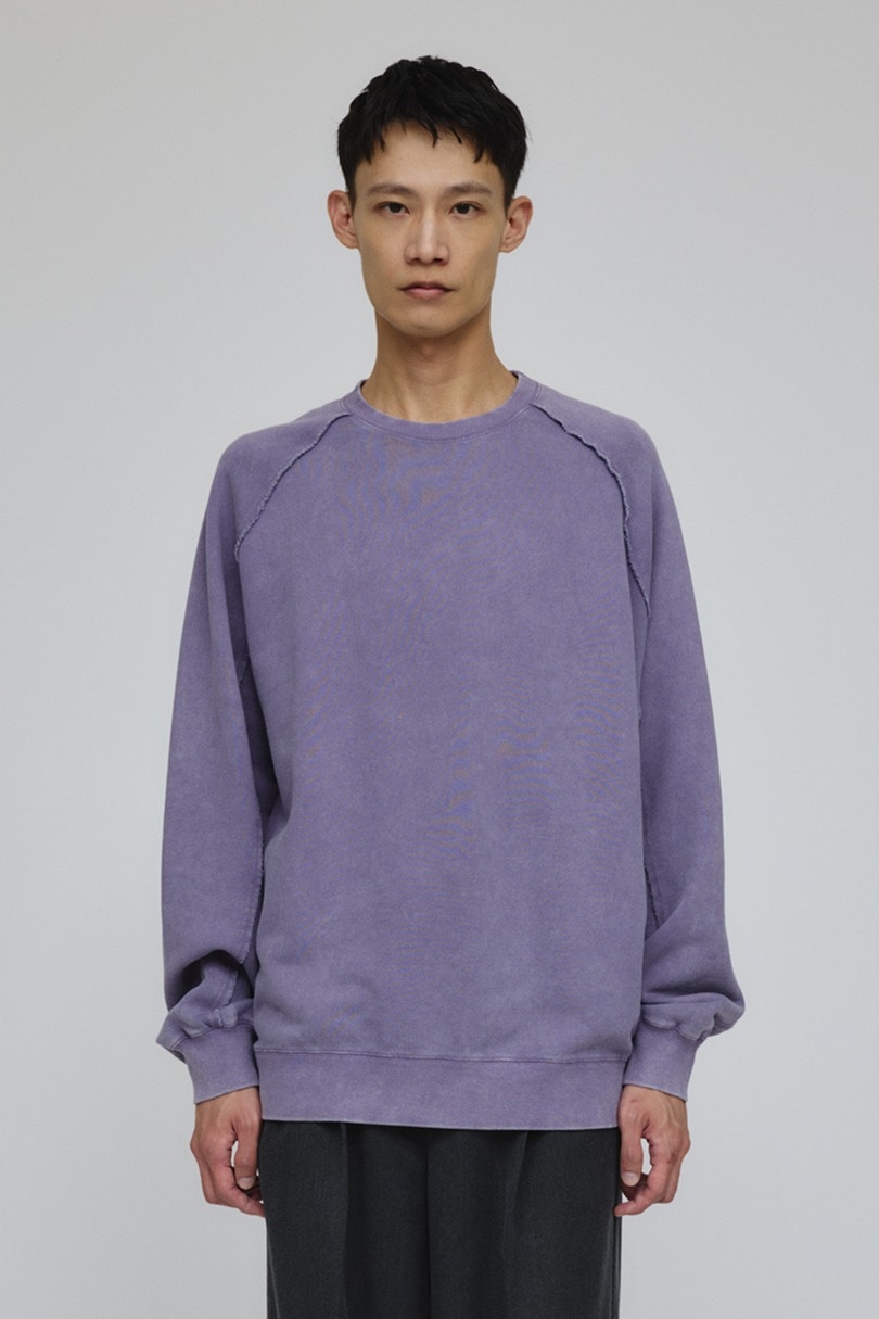 ピグメントダイクルースウェット 詳細画像 PUR 4