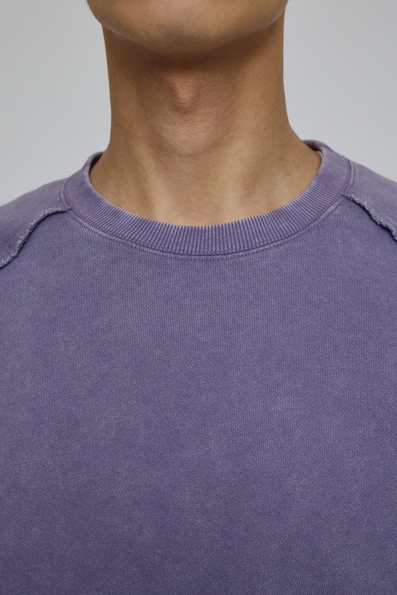 ピグメントダイクルースウェット 詳細画像 PUR 5