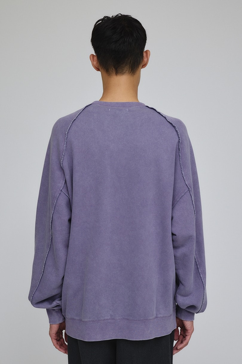 ピグメントダイクルースウェット 詳細画像 PUR 9