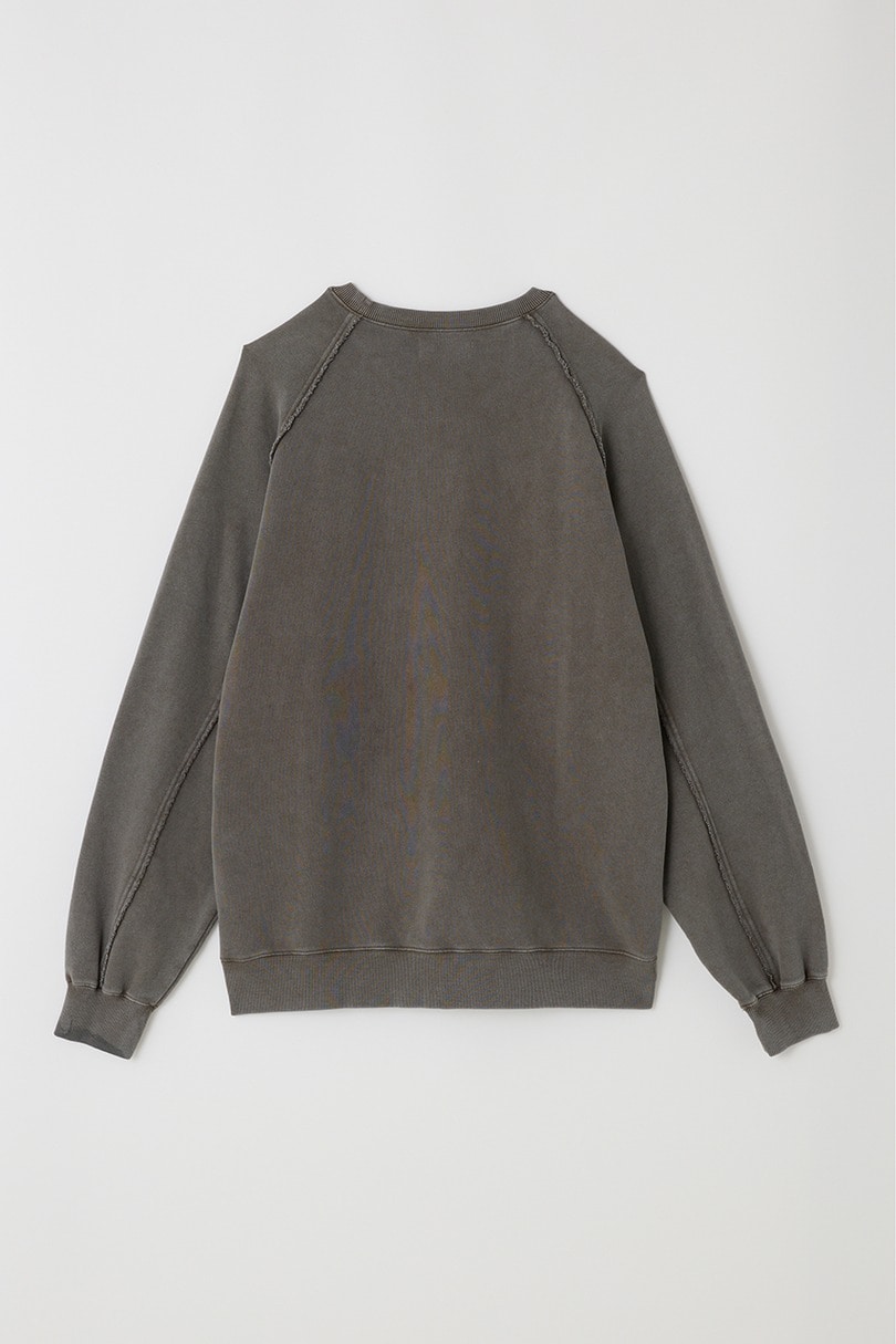 ピグメントダイクルースウェット 詳細画像 KHA 13