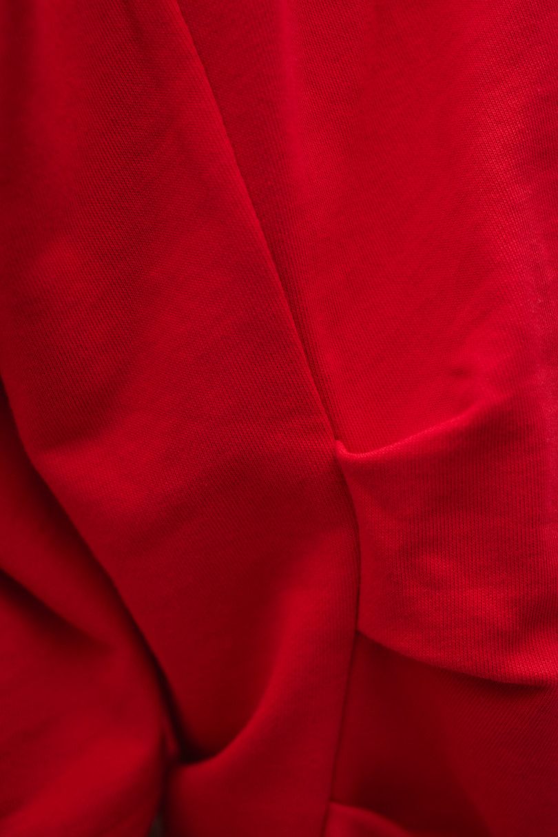 タックスリーブスウェットトップ 詳細画像 RED 11